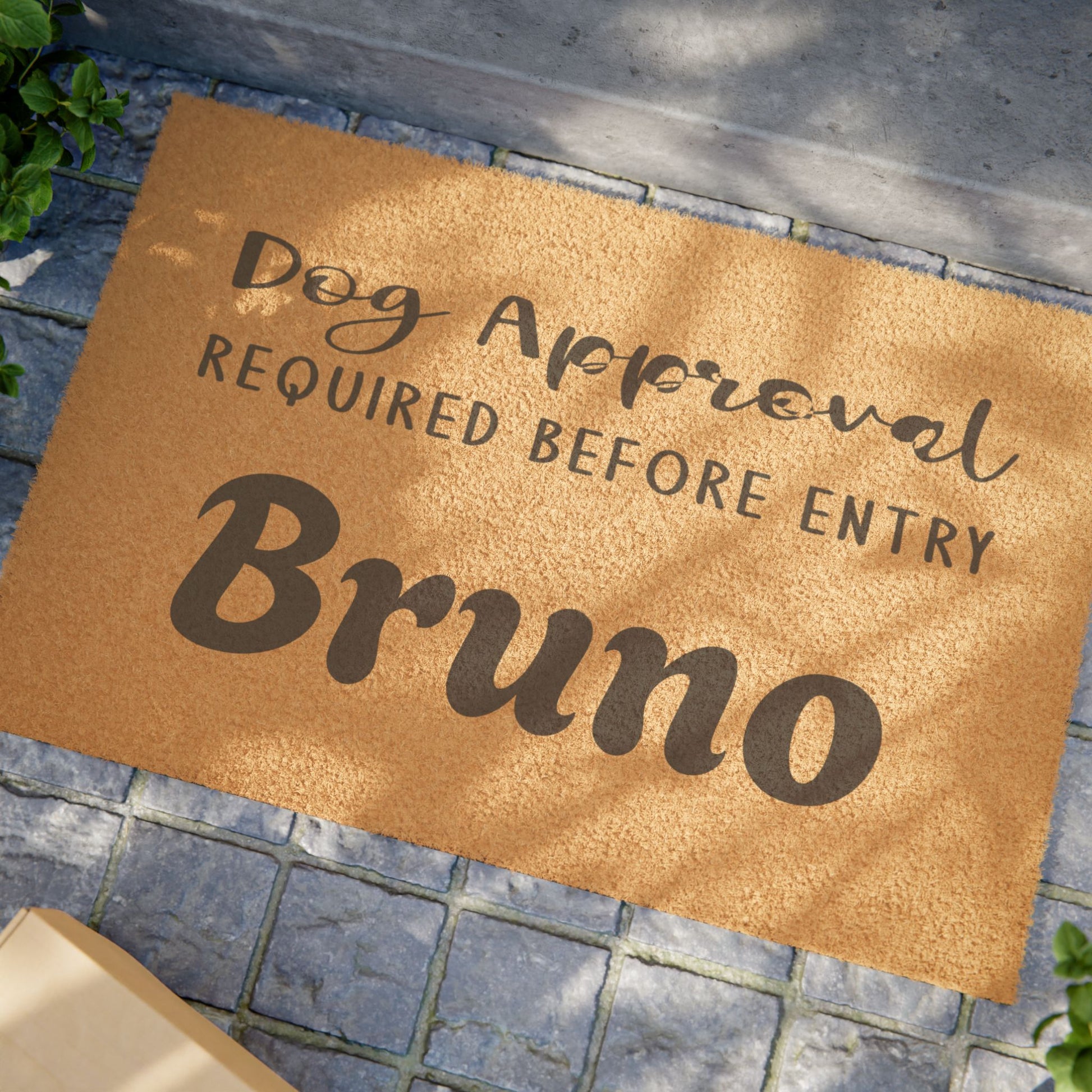 Humorous Dog Doormat - "Dog Approval Required Before Entry" - Dog Lover Gift, Pet-Friendly Decor, Funny Home Accessory, New Dog Owner Gift